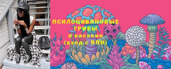 мдпв Магадан