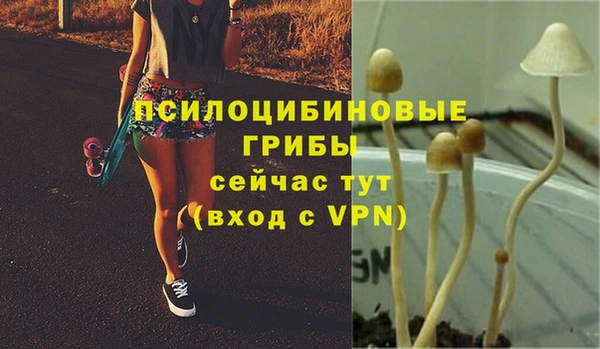 таблы Алексин