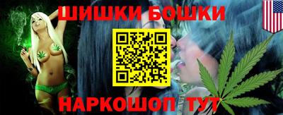 индика Нягань
