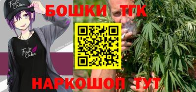 индика Нягань