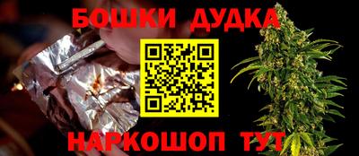 индика Нягань