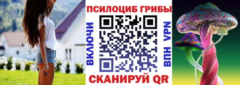 где продают наркотики  Находка  blacksprut вход  Псилоцибиновые грибы ЛСД 