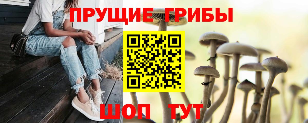Находка  Галлюциногенные грибы Psilocybine cubensis  Псилоцибиновые грибы GOLDEN TEACHER  Вход с VPN 